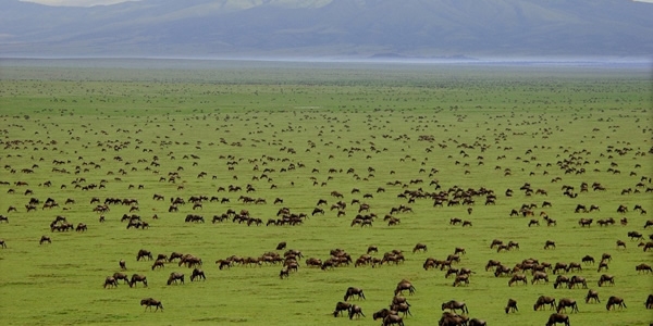 Serengeti National Park