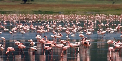 Lake Manyara National Park