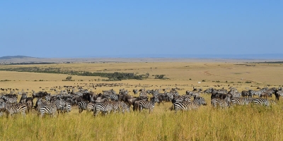 Masai Mara National Reserve