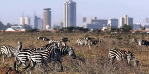 Nairobi National Park