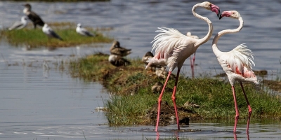 Lake Nakuru National Park