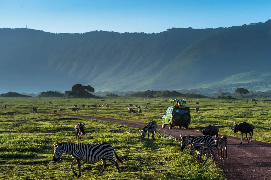 Ngorongoro Conservancy Area