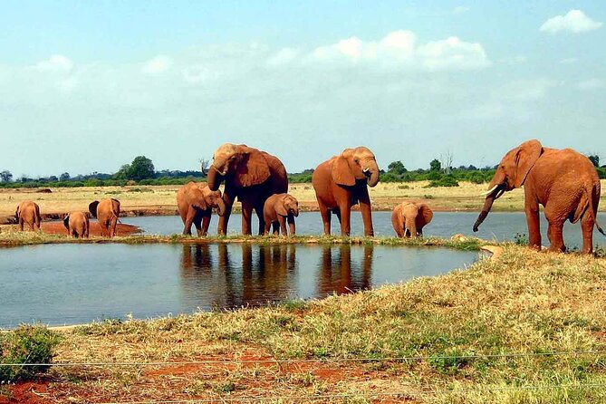 Tsavo West National Park