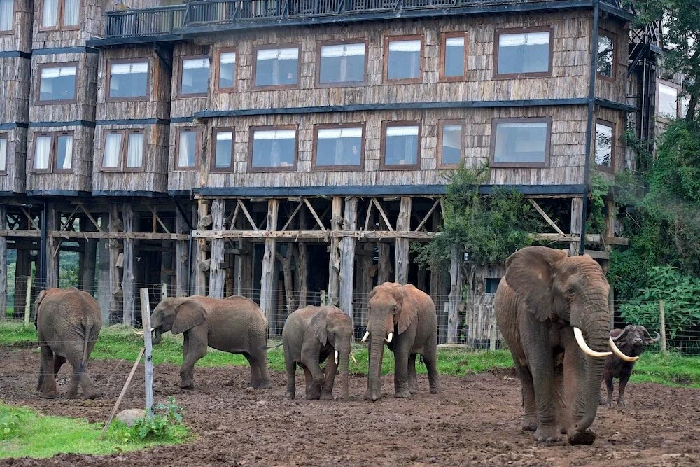 Aberdare National Park