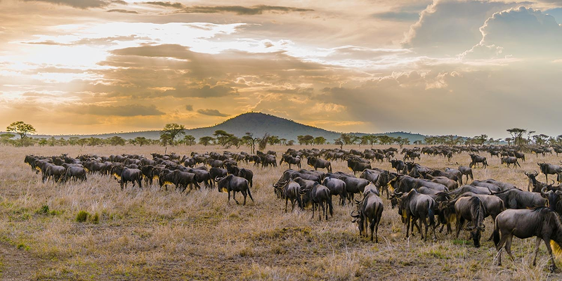 Serengeti National Park