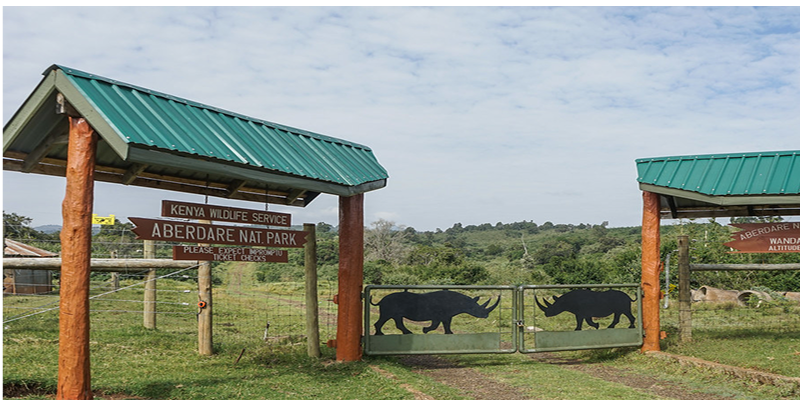 Aberdare National Park