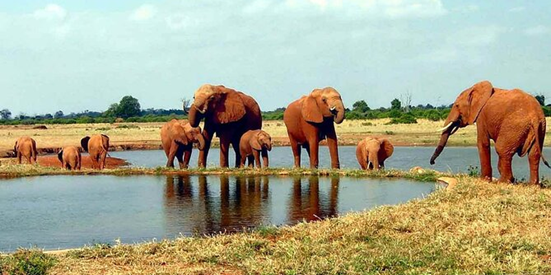 Samburu National Reserve