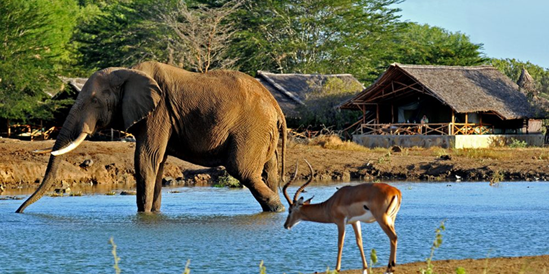 Tsavo East National Park