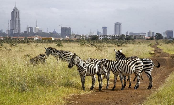 Nairobi National Park